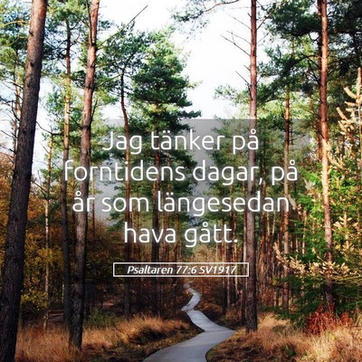 Picture 05 - Psaltaren 77:6 SV1917 - Jag tänker på forntidens dagar, på år som - Bible Verse Picture