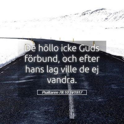 Picture 05 - Psaltaren 78:10 SV1917 - De höllo icke Guds förbund, och efter hans lag - Bible Verse Picture