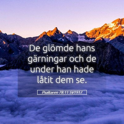 Picture 05 - Psaltaren 78:11 SV1917 - De glömde hans gärningar och de under han hade - Bible Verse Picture