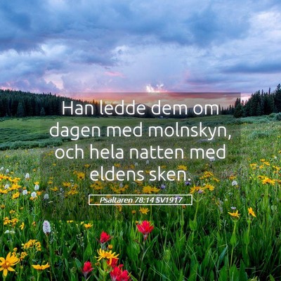 Picture 05 - Psaltaren 78:14 SV1917 - Han ledde dem om dagen med molnskyn, och hela - Bible Verse Picture