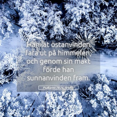Picture 05 - Psaltaren 78:26 SV1917 - Han lät östanvinden fara ut på himmelen, och - Bible Verse Picture