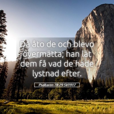 Picture 05 - Psaltaren 78:29 SV1917 - Då åto de och blevo övermätta; han lät dem - Bible Verse Picture