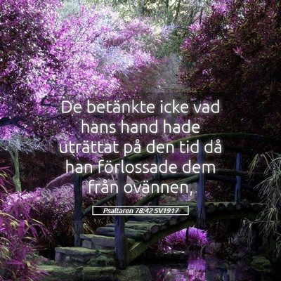 Picture 05 - Psaltaren 78:42 SV1917 - De betänkte icke vad hans hand hade uträttat - Bible Verse Picture