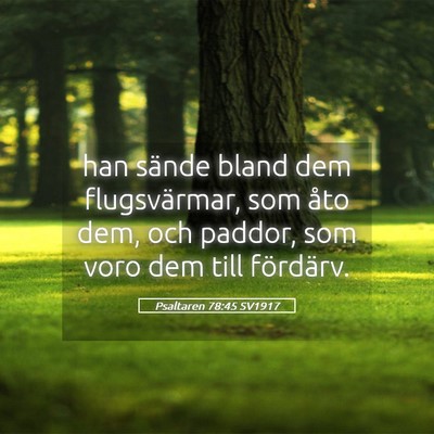 Picture 05 - Psaltaren 78:45 SV1917 - han sände bland dem flugsvärmar, som åto dem, - Bible Verse Picture
