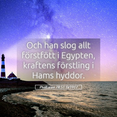 Picture 05 - Psaltaren 78:51 SV1917 - Och han slog allt förstfött i Egypten, kraftens - Bible Verse Picture