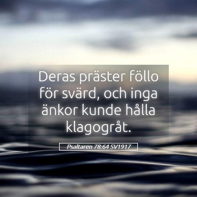 Picture 05 - Psaltaren 78:64 SV1917 - Deras präster föllo för svärd, och inga - Bible Verse Picture