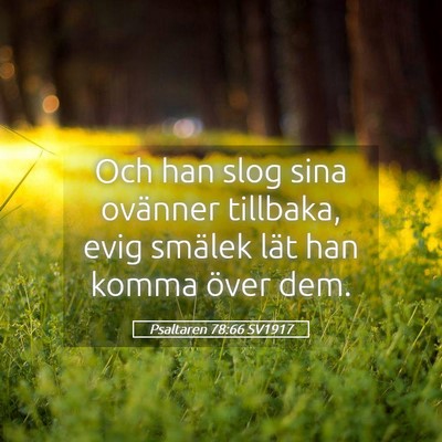 Picture 05 - Psaltaren 78:66 SV1917 - Och han slog sina ovänner tillbaka, evig smälek - Bible Verse Picture