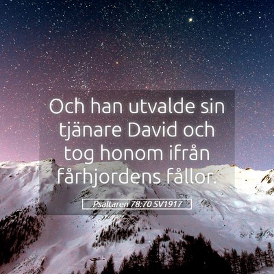 Picture 05 - Psaltaren 78:70 SV1917 - Och han utvalde sin tjänare David och tog honom - Bible Verse Picture