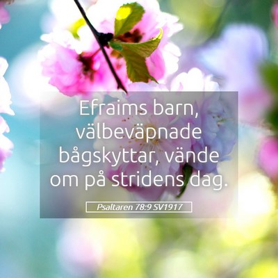 Picture 05 - Psaltaren 78:9 SV1917 - Efraims barn, välbeväpnade bågskyttar, vände - Bible Verse Picture