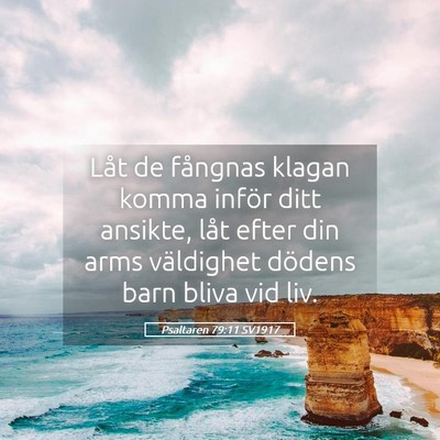 Picture 05 - Psaltaren 79:11 SV1917 - Låt de fångnas klagan komma inför ditt - Bible Verse Picture