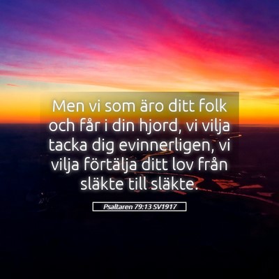 Picture 05 - Psaltaren 79:13 SV1917 - Men vi som äro ditt folk och får i din hjord, - Bible Verse Picture
