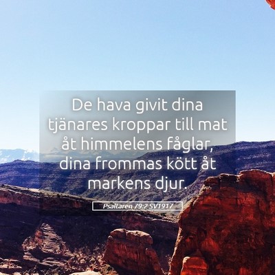 Picture 05 - Psaltaren 79:2 SV1917 - De hava givit dina tjänares kroppar till mat åt - Bible Verse Picture