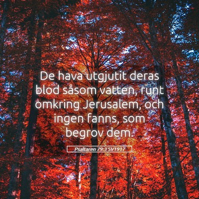 Picture 05 - Psaltaren 79:3 SV1917 - De hava utgjutit deras blod såsom vatten, runt - Bible Verse Picture