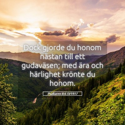 Picture 05 - Psaltaren 8:6 SV1917 - Dock gjorde du honom nästan till ett gudaväsen; - Bible Verse Picture