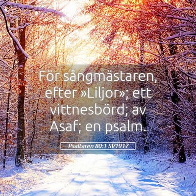 Picture 05 - Psaltaren 80:1 SV1917 - För sångmästaren, efter »Liljor»; ett - Bible Verse Picture