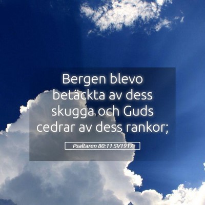 Picture 05 - Psaltaren 80:11 SV1917 - Bergen blevo betäckta av dess skugga och Guds - Bible Verse Picture