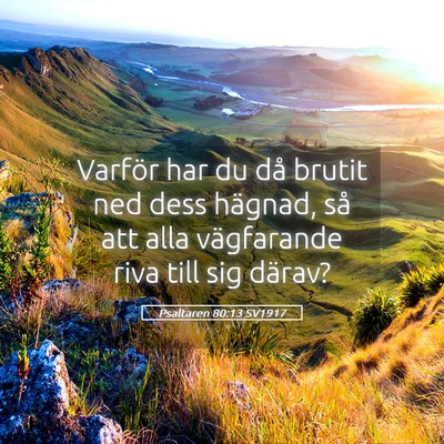 Picture 05 - Psaltaren 80:13 SV1917 - Varför har du då brutit ned dess hägnad, så - Bible Verse Picture