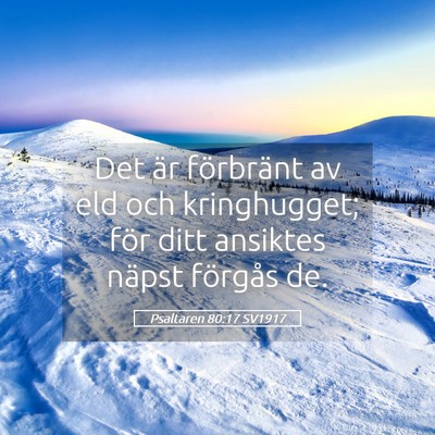 Picture 05 - Psaltaren 80:17 SV1917 - Det är förbränt av eld och kringhugget; för - Bible Verse Picture