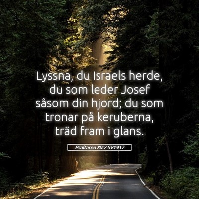 Picture 05 - Psaltaren 80:2 SV1917 - Lyssna, du Israels herde, du som leder Josef - Bible Verse Picture