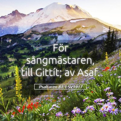 Picture 05 - Psaltaren 81:1 SV1917 - För sångmästaren, till Gittít; av - Bible Verse Picture