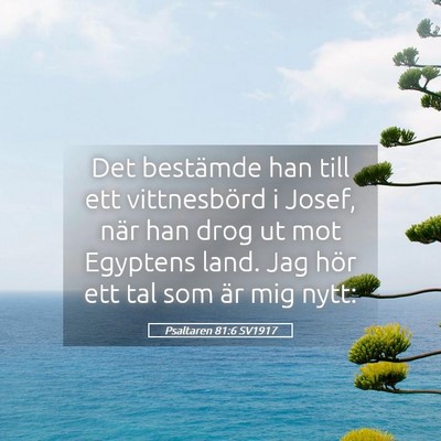Picture 05 - Psaltaren 81:6 SV1917 - Det bestämde han till ett vittnesbörd i Josef, - Bible Verse Picture