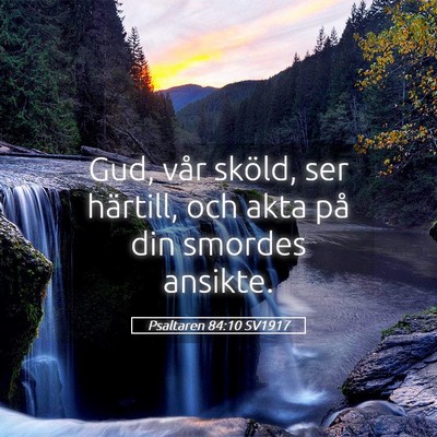 Picture 05 - Psaltaren 84:10 SV1917 - Gud, vår sköld, ser härtill, och akta på din - Bible Verse Picture