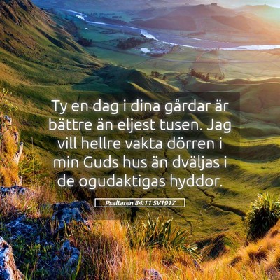 Picture 05 - Psaltaren 84:11 SV1917 - Ty en dag i dina gårdar är bättre än eljest - Bible Verse Picture