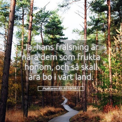 Picture 05 - Psaltaren 85:10 SV1917 - Ja, hans frälsning är nära dem som frukta - Bible Verse Picture