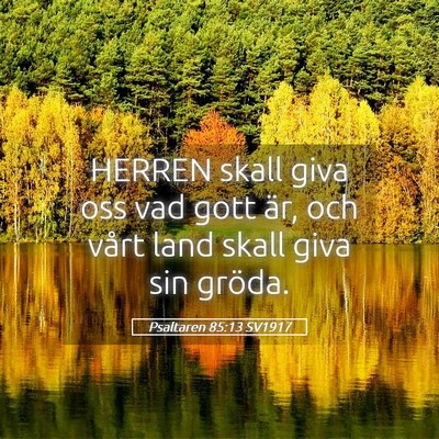 Picture 05 - Psaltaren 85:13 SV1917 - HERREN skall giva oss vad gott är, och vårt - Bible Verse Picture