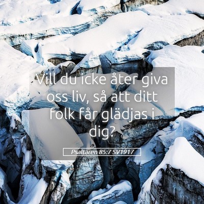 Picture 05 - Psaltaren 85:7 SV1917 - Vill du icke åter giva oss liv, så att ditt - Bible Verse Picture
