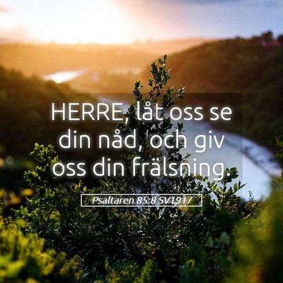 Picture 05 - Psaltaren 85:8 SV1917 - HERRE, låt oss se din nåd, och giv oss din - Bible Verse Picture