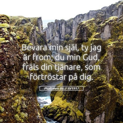 Picture 05 - Psaltaren 86:2 SV1917 - Bevara min själ, ty jag är from; du min Gud, - Bible Verse Picture