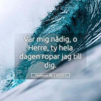 Picture 05 - Psaltaren 86:3 SV1917 - Var mig nådig, o Herre, ty hela dagen ropar jag - Bible Verse Picture