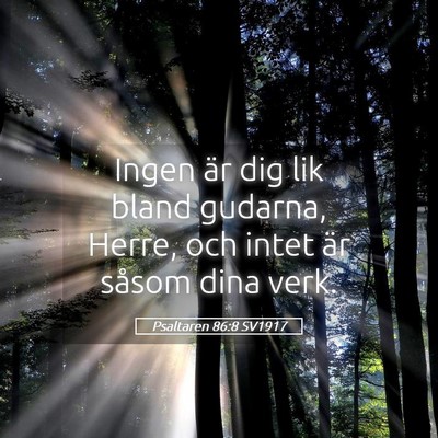 Picture 05 - Psaltaren 86:8 SV1917 - Ingen är dig lik bland gudarna, Herre, och intet - Bible Verse Picture