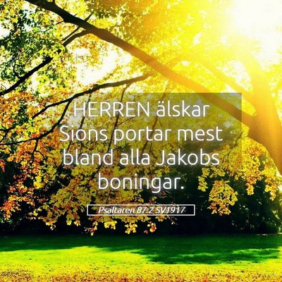 Picture 05 - Psaltaren 87:2 SV1917 - HERREN älskar Sions portar mest bland alla - Bible Verse Picture
