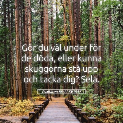 Picture 05 - Psaltaren 88:11 SV1917 - Gör du väl under för de döda, eller kunna - Bible Verse Picture