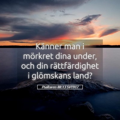Picture 05 - Psaltaren 88:13 SV1917 - Känner man i mörkret dina under, och din - Bible Verse Picture
