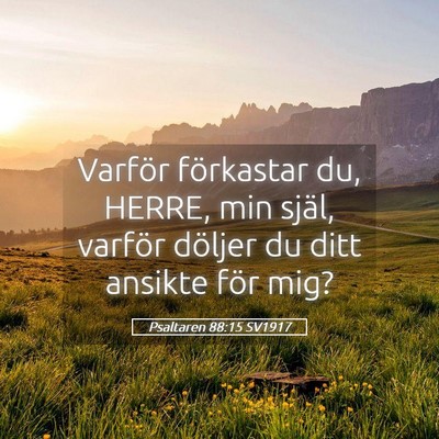 Picture 05 - Psaltaren 88:15 SV1917 - Varför förkastar du, HERRE, min själ, varför - Bible Verse Picture