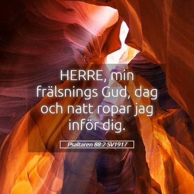 Picture 05 - Psaltaren 88:2 SV1917 - HERRE, min frälsnings Gud, dag och natt ropar - Bible Verse Picture