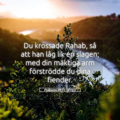 Picture 05 - Psaltaren 89:11 SV1917 - Du krossade Rahab, så att han låg lik en - Bible Verse Picture