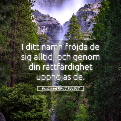 Picture 05 - Psaltaren 89:17 SV1917 - I ditt namn fröjda de sig alltid, och genom din - Bible Verse Picture