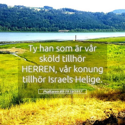 Picture 05 - Psaltaren 89:19 SV1917 - Ty han som är vår sköld tillhör HERREN, vår - Bible Verse Picture