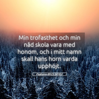 Picture 05 - Psaltaren 89:25 SV1917 - Min trofasthet och min nåd skola vara med honom, - Bible Verse Picture
