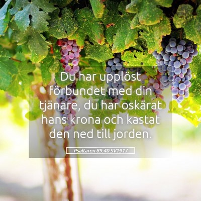 Picture 05 - Psaltaren 89:40 SV1917 - Du har upplöst förbundet med din tjänare, du - Bible Verse Picture