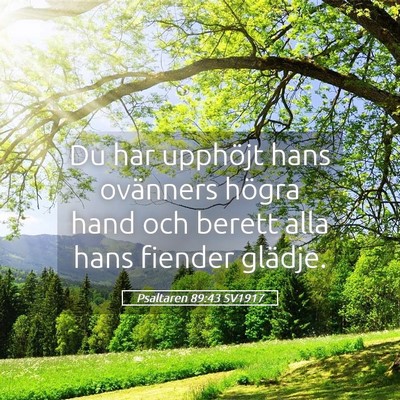 Picture 05 - Psaltaren 89:43 SV1917 - Du har upphöjt hans ovänners högra hand och - Bible Verse Picture