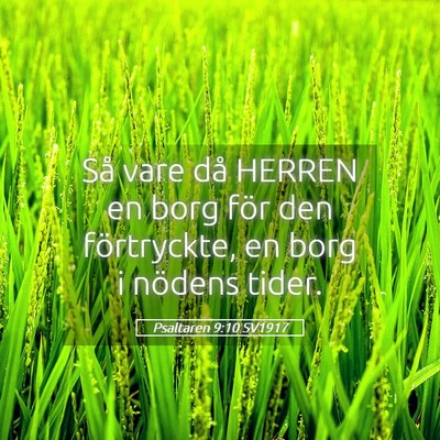 Picture 05 - Psaltaren 9:10 SV1917 - Så vare då HERREN en borg för den förtryckte, - Bible Verse Picture