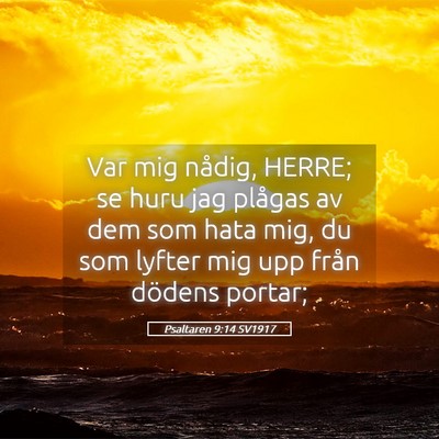 Picture 05 - Psaltaren 9:14 SV1917 - Var mig nådig, HERRE; se huru jag plågas av dem - Bible Verse Picture