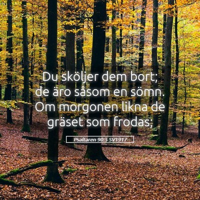 Picture 05 - Psaltaren 90:5 SV1917 - Du sköljer dem bort; de äro såsom en sömn. Om - Bible Verse Picture
