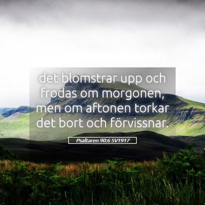 Picture 05 - Psaltaren 90:6 SV1917 - det blomstrar upp och frodas om morgonen, men om - Bible Verse Picture