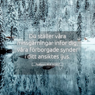 Picture 05 - Psaltaren 90:8 SV1917 - Du ställer våra missgärningar inför dig, - Bible Verse Picture